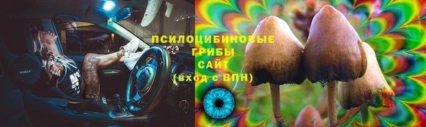 альфа пвп Бородино