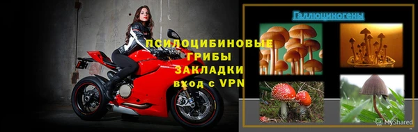 альфа пвп Бородино