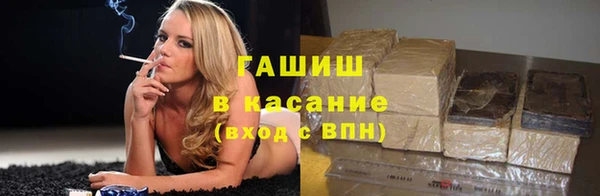 прущие грибы Горнозаводск