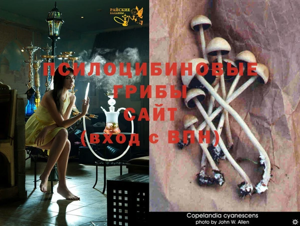 таблы Бронницы